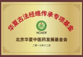华夏古法经络传承专项基金会