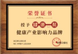 健康产业影响力品牌